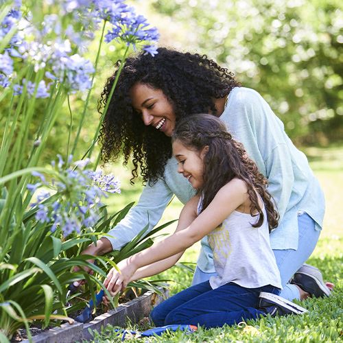 Eco-Friendly Pest Control